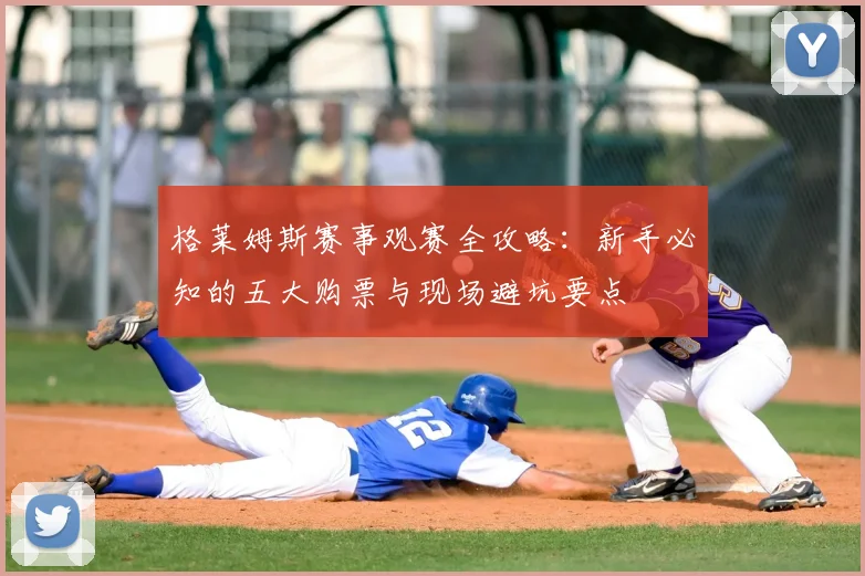 格莱姆斯赛事观赛全攻略：新手必知的五大购票与现场避坑要点