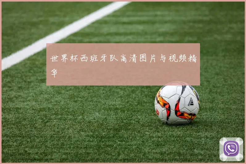 世界杯西班牙队高清图片与视频精华