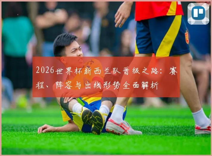 2026世界杯新西兰队晋级之路：赛程、阵容与出线形势全面解析