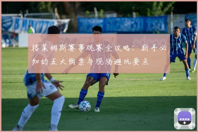 格莱姆斯赛事观赛全攻略：新手必知的五大购票与现场避坑要点