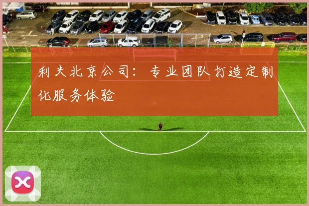 利夫北京公司：专业团队打造定制化服务体验